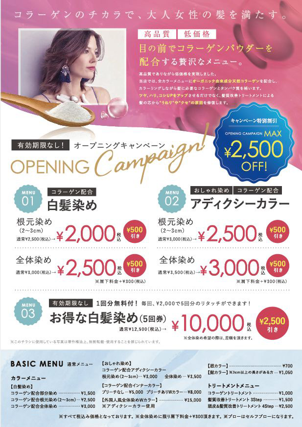 COLOR LIFE_A5l_ura.jpg